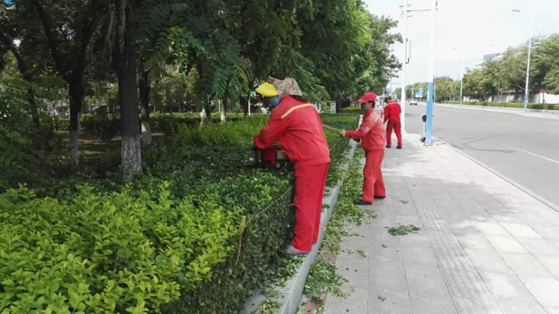 丹江口物业公司：守护城市温暖的脉搏