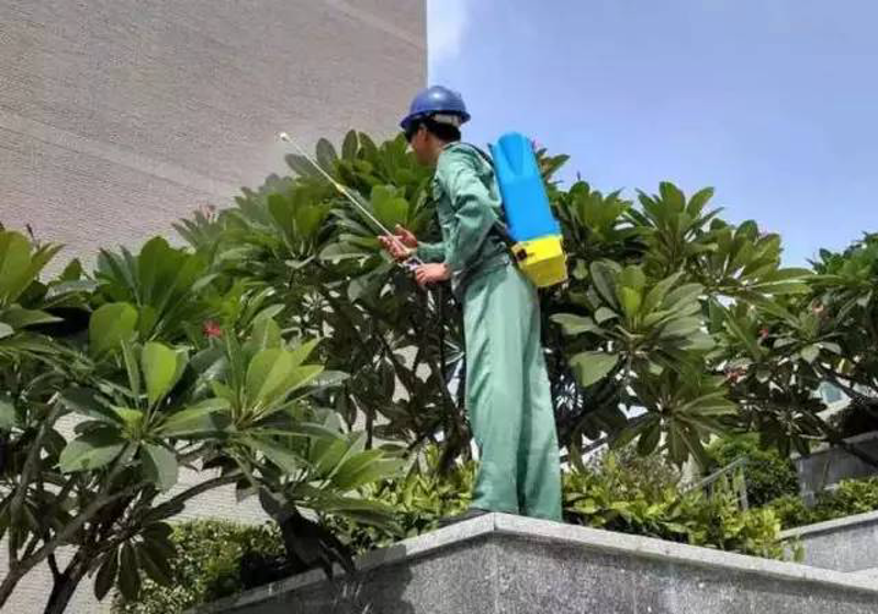 商业物业托管：连接未来商业的新桥梁